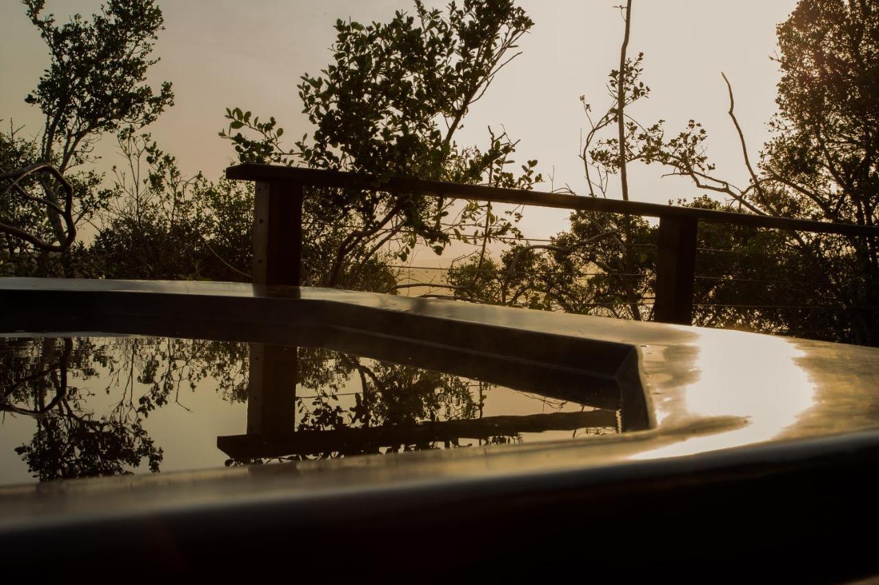 Edge Of Eden Apartment Wilderness Luaran gambar